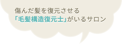 傷んだ髪を復元させる「毛髪構造復元士」がいるサロン